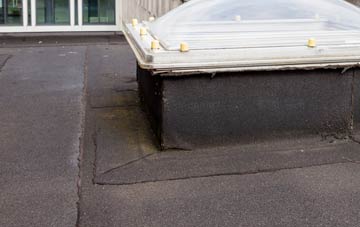 disadvantages of West Royd flat roofs